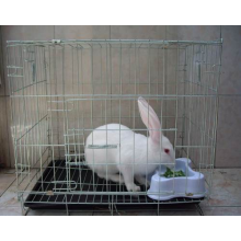 Cheap Rabbit Farming Cage